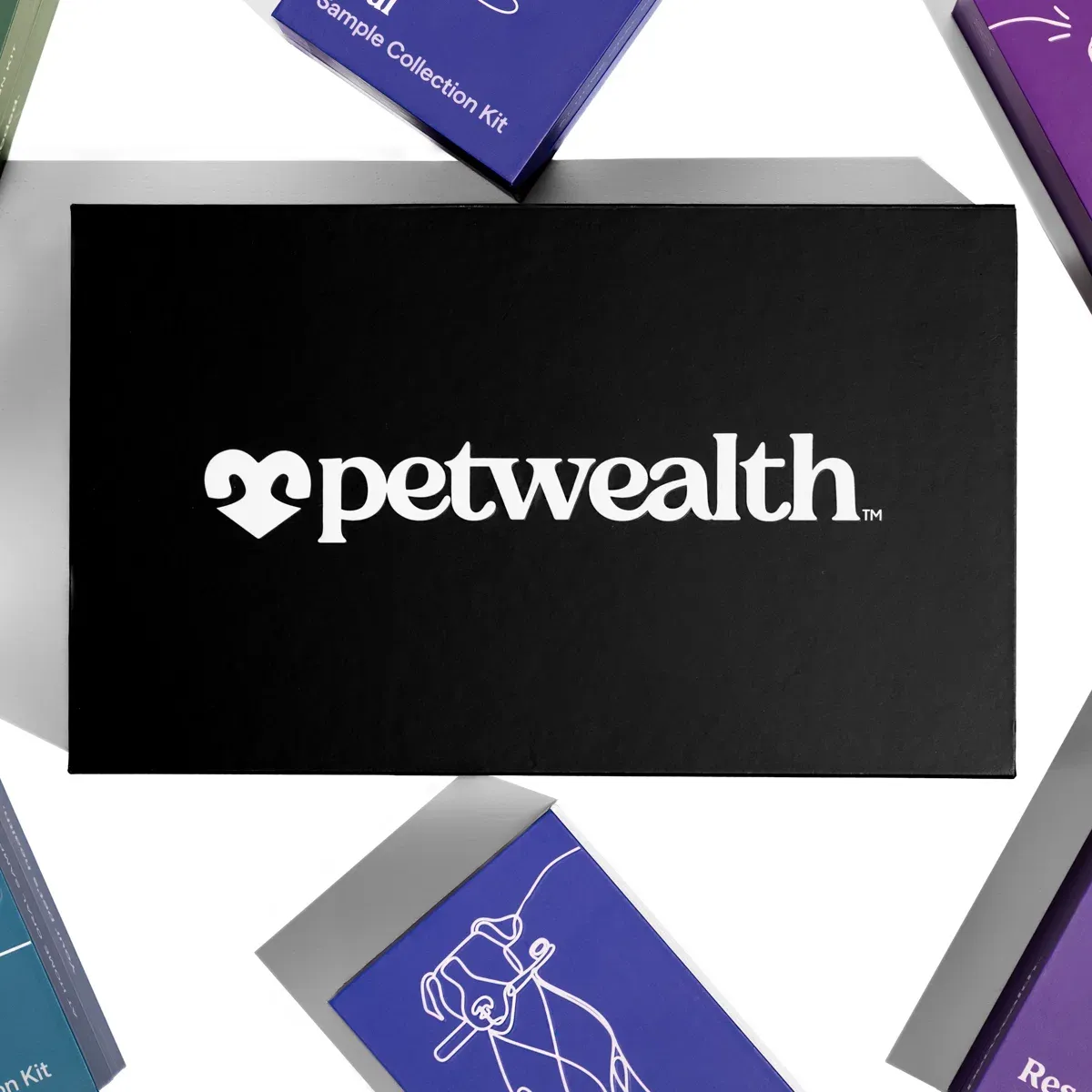 Overhead view of the black Petwealth collection box surrounded by its sample collection kits